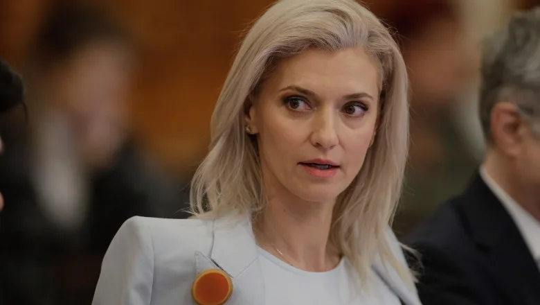 Gorghiu: se va urmări procedura simplificată de punere în aplicare a acestui mandat pe numele Cherecheș
