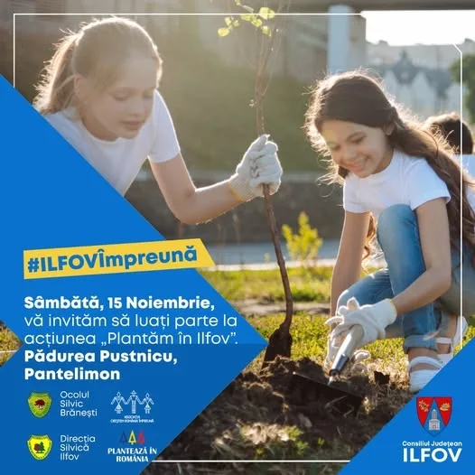 Acțiune de plantare puieți de stejar în Ilfov