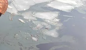 Situație de urgență pe Dunăre: Posibilă contaminare cu ulei și carburanți după scufundarea unui împingător la Giurgiu
