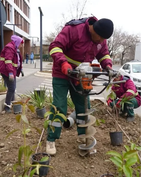 Program de plantări în Sectorul 3